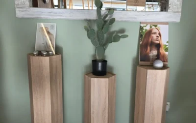 Per què Kemon després de buscar durant anys