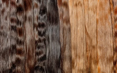 Extensions amb criteri estructural